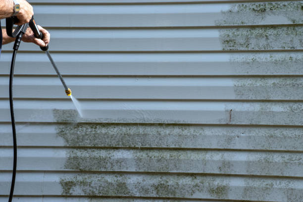 Best Carpet Removal and Disposal  in Reading, MI